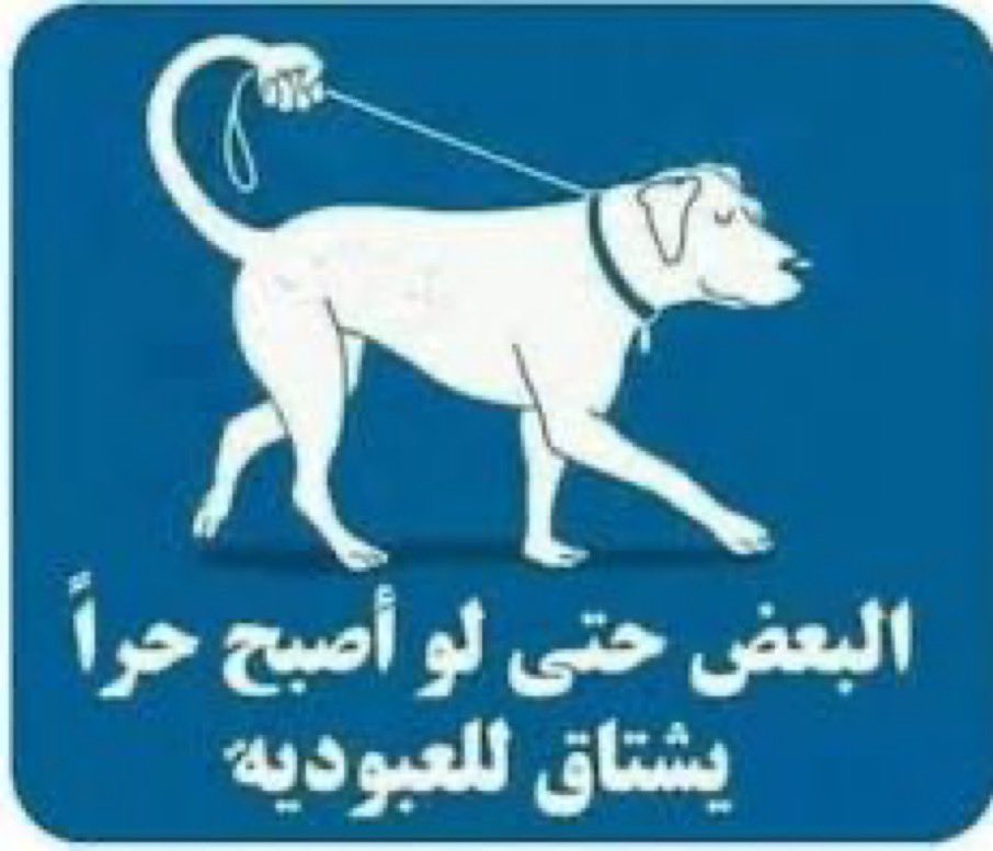 mlll61's tweet photo. @happyccatt اللي يسبون حياة بعد التخرج وانا منهم https://t.co/kETtKftLX2