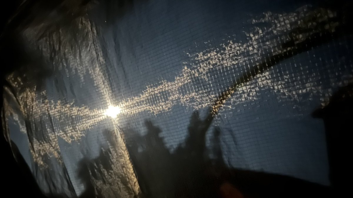 cmfloyd's tweet photo. Last night’s super blue moon, as seen through the bug net on my hammock in the back yard. https://t.co/Avj6csISTy