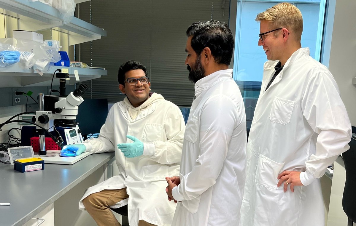 Brotman Baty tweet media