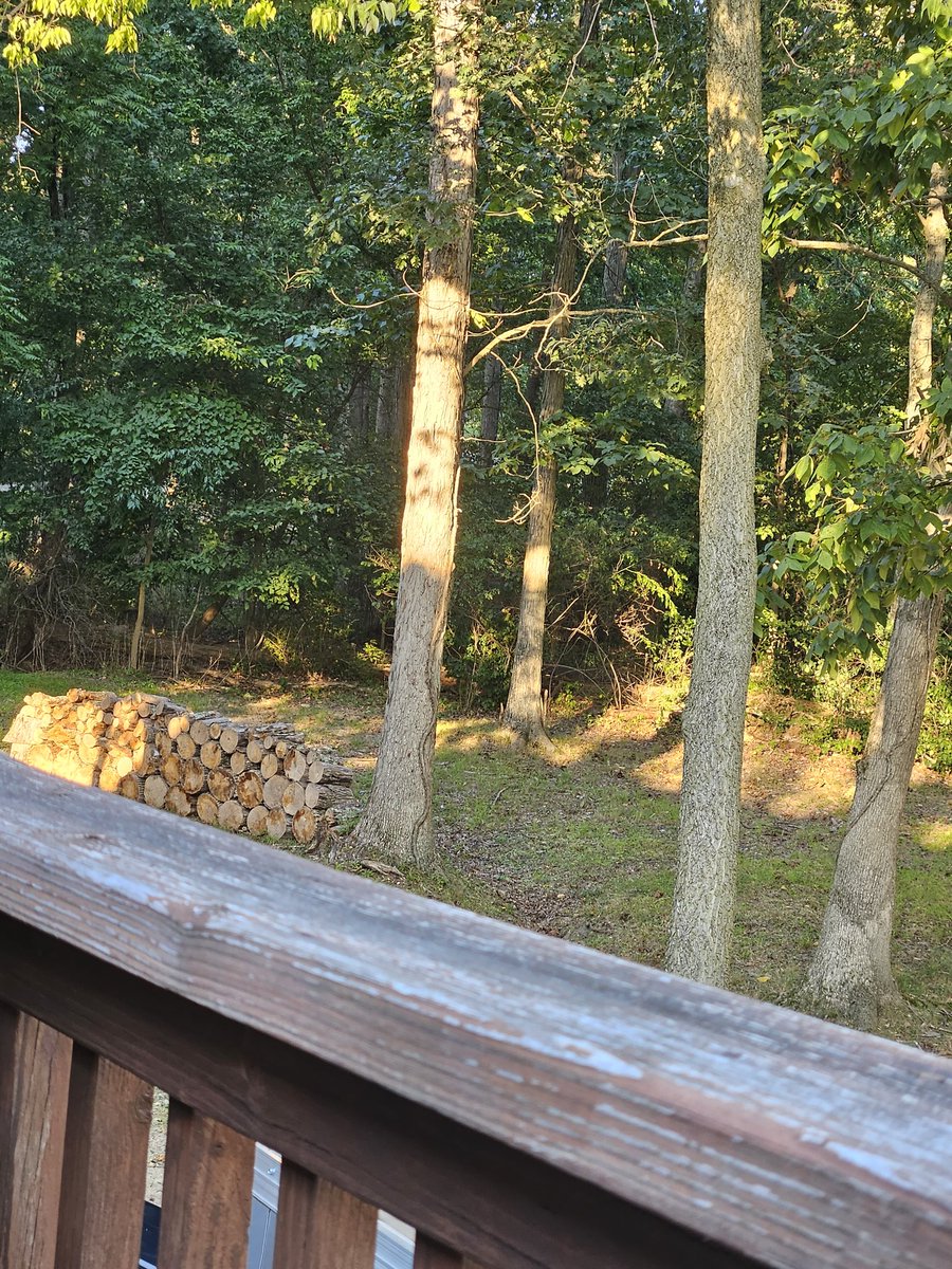 Yodie7877's tweet photo. Some nights ya just need to come home from work, grab a drink, and chill out on the deck. #RoughWeek #NeedToRelax #MeTime #WaitingForTheDeer https://t.co/rALBtZutqc