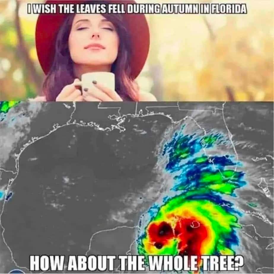 supastarzshop's tweet image. #Florida knows what I'm talkin' about! #toosoon #SourceUnknown