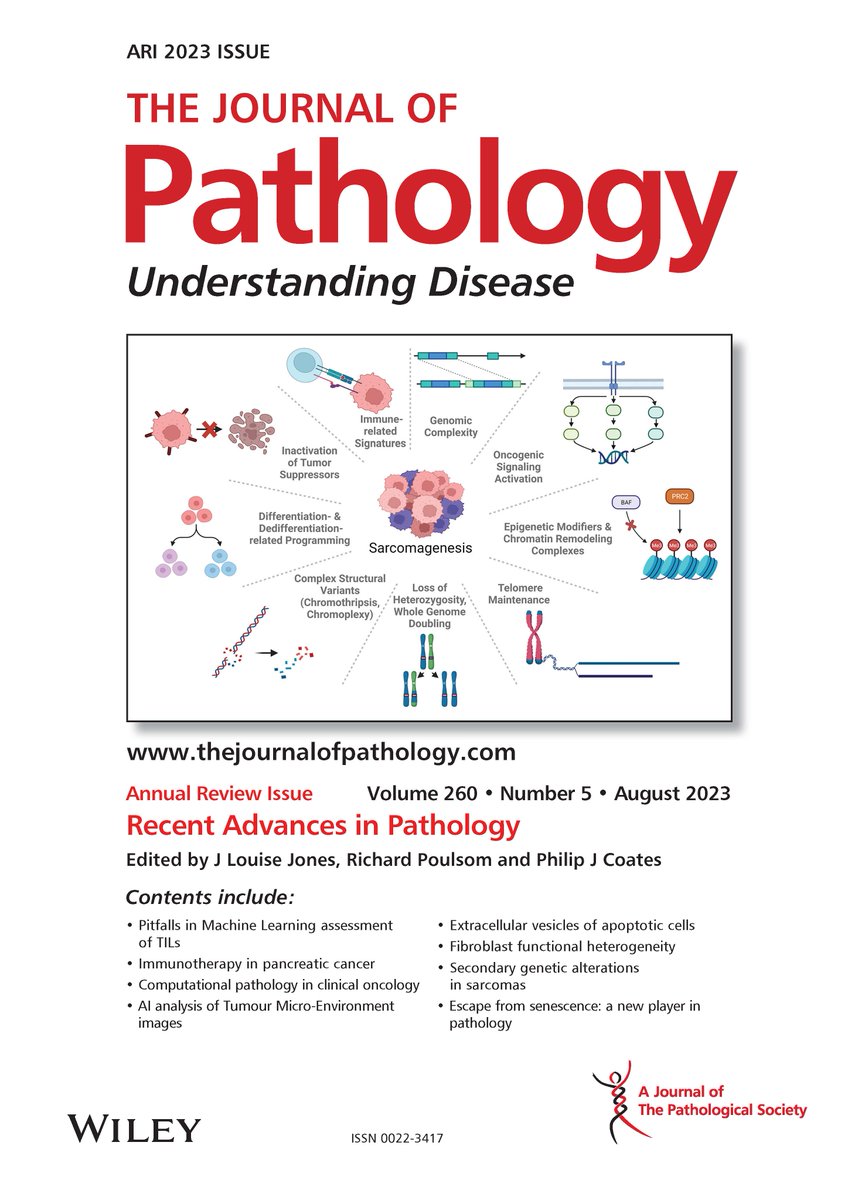 Our reviews "Pitfalls in machine learning-based assessment of TILs in breast cancer" &amp; "Spatial analyses of immune cell infiltration in cancer: current methods and future directions" on the 25th Annual Review Issue of J. Pathology <a href="/pathsoc/">Pathological Society</a> 👉 shorturl.at/afqY7