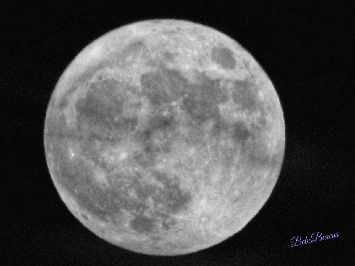 SaltyBebeFL's tweet photo. Last night’s super, blue moon after #HurricaneIdalia2023, so pretty! 🫶🏻
#flwx #Blue_Moon #Bluemoon #BlueMoon2023 #wxnewsdesk @WeatherNation https://t.co/Vn9SyQgdN4