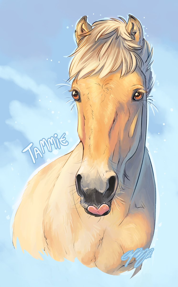 ElliPuukangas's tweet image. It's Tammie's birthday month! ☘️ 
#fjordhorse #foal