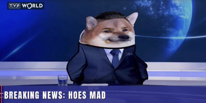 F45TmW1WAAAXL4Q?format=webp&name=small