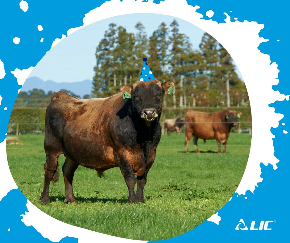 Father’s Day has always been about celebrating the human Dad in our lives, but here’s to the superdads of the dairy sector - our Premier Sires teams! 🐂

In celebration of these special dads, check out our Spring Premier Sires Bull Chart!

👉📰 bit.ly/spring-wall-ch…