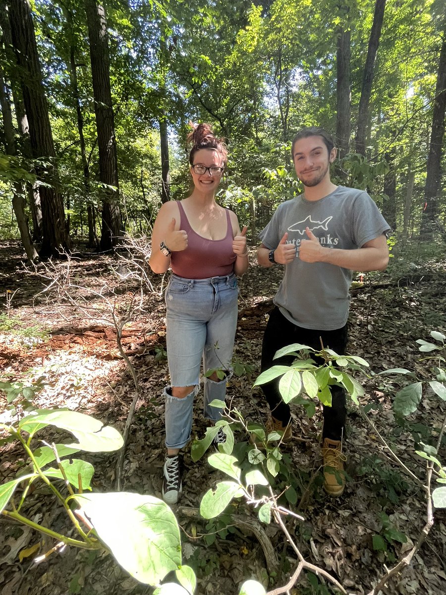 LVCEnvi's tweet image. Field work begins!  Sydney Frey and Charles Katona helped Dr U out in the Research Preserve this afternoon.  Does it look like deer might have an impact in the woods? #LVCEnvi #LVCResearch