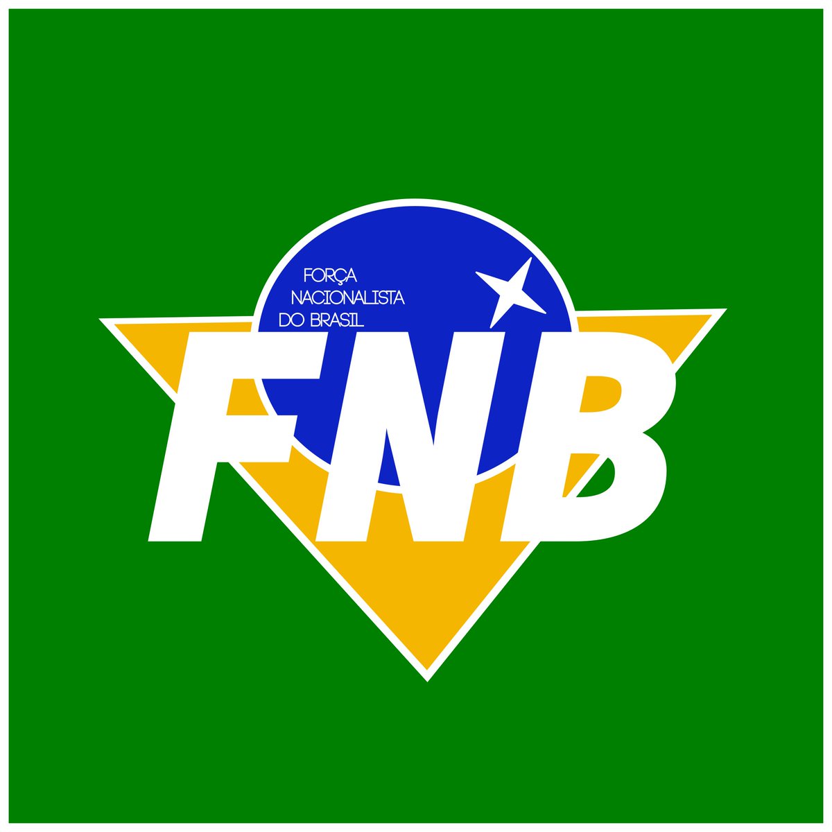 godzillababy33's tweet photo. É proibido passar por esse Tweet sem mostrar suas bandeiras https://t.co/SNFI2ndm41
