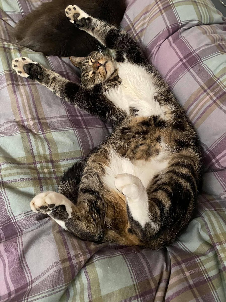 ZStarpuss's tweet photo. @TreasuryMog Got it nailed. https://t.co/bA8FIjNMMX