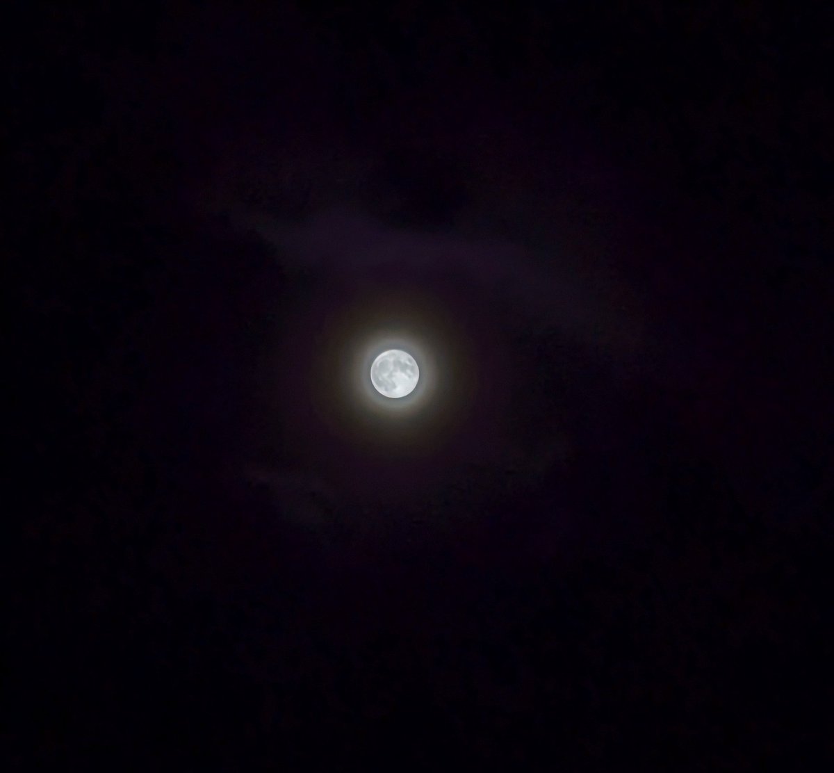 ako1029's tweet photo. 昨日のお月さま🌕
今日から9月ｩｩｩｩ https://t.co/V18tmPvU5K