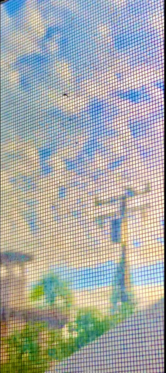 ZaraSadowsky's tweet image. SoCaliifornia expecting rain 🌧 tomorrow.
#ViewFromtheWindow
#clouds ☁️