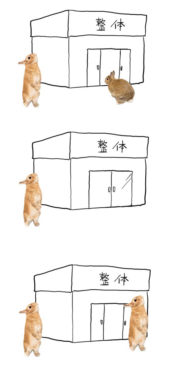 うさぎのうい🐰 (@8bunme_yyu) on Twitter photo 