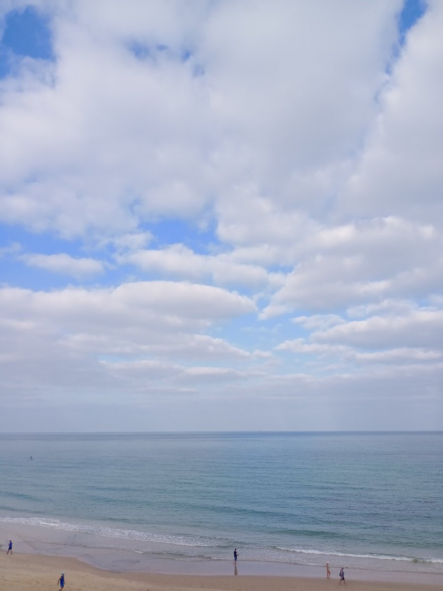 niravbba's tweet image. 