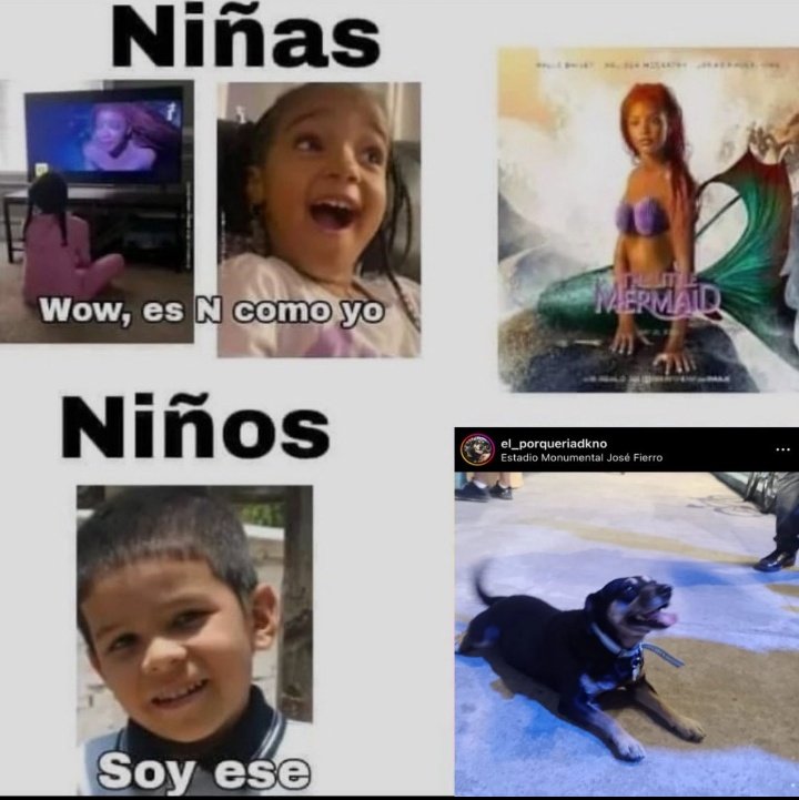 pusi⭐️ (@pusineitor) on Twitter photo 