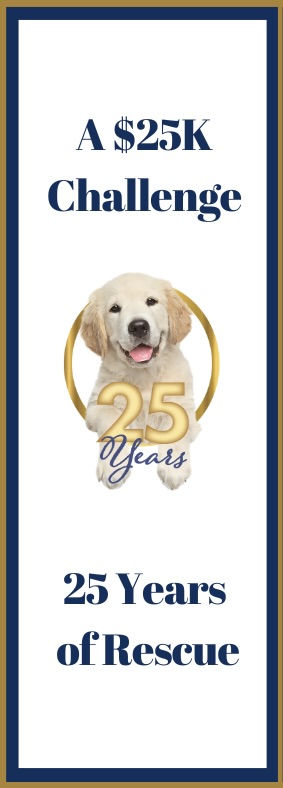 GRR President Michelle Goldberg will be joining <a href="/fox7austin/">FOX 7 Austin</a> tomorrow morning around 9:40am! Tune in and help us celebrate 25 years of Gold Ribbon Rescue with our $25k challenge.