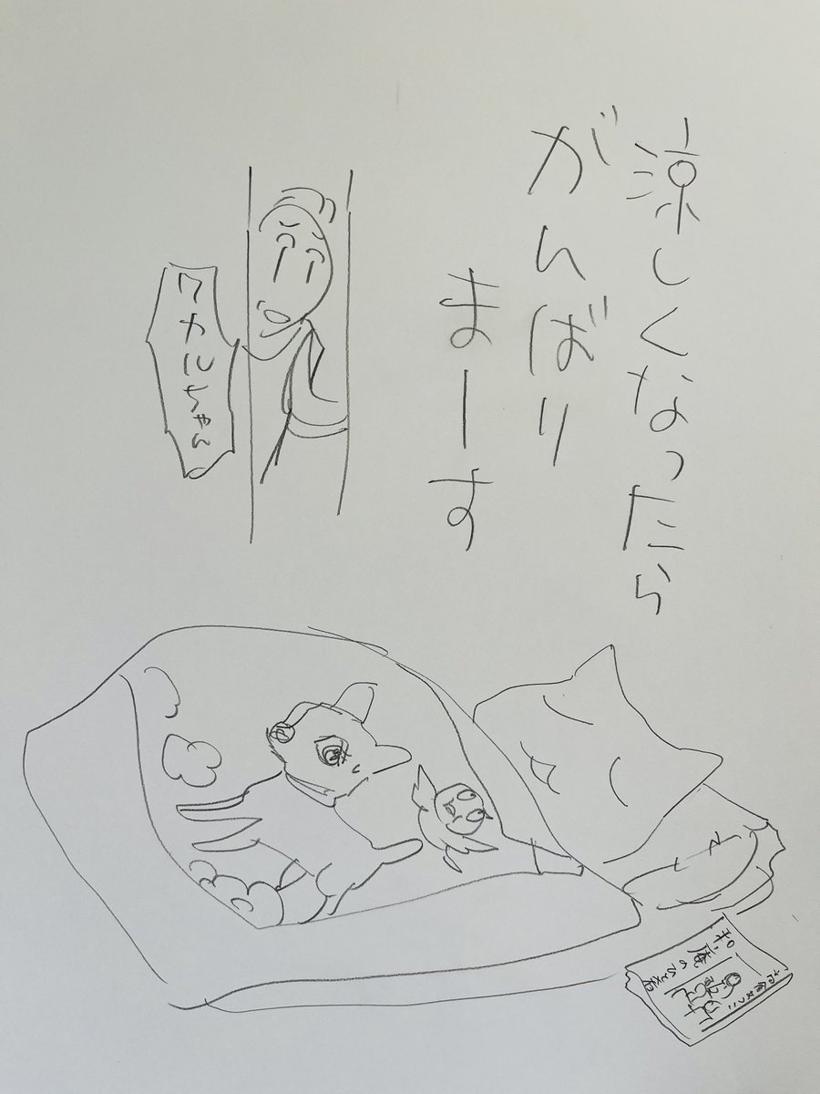 起きた人、おはよう〜
寝る人、おやすみ〜
新潟は昨日39度だったそうな
新潟の方、生きてますか
新潟の、海が結晶したようなおいしいお刺身 元気ですか〜
今日
ご無事で❗️
