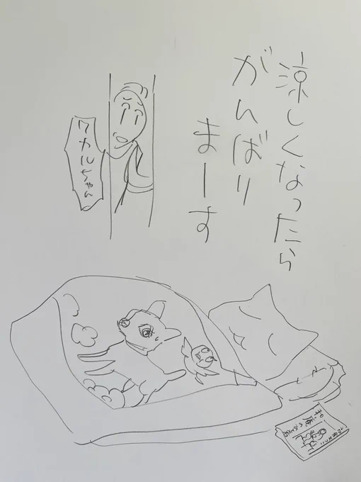 起きた人、おはよう〜
寝る人、おやすみ〜
新潟は昨日39度だったそうな
新潟の方、生きてますか
新潟の、海が結晶したようなおいしいお刺身 元気ですか〜

今日
ご無事で❗️ 