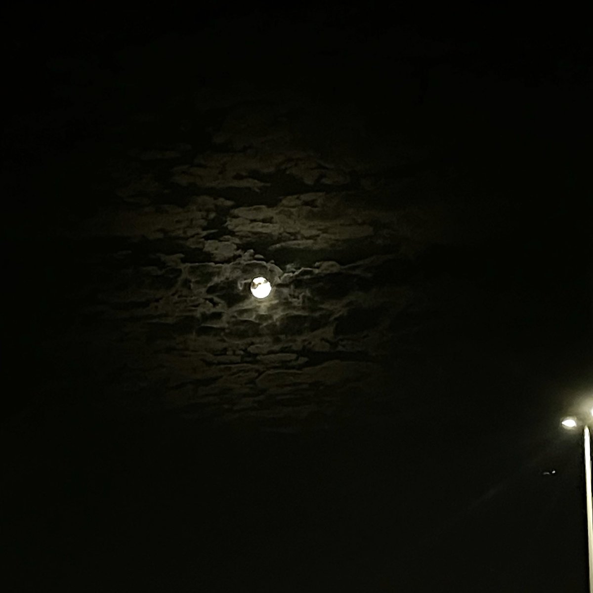 cloudyH_'s tweet image. 