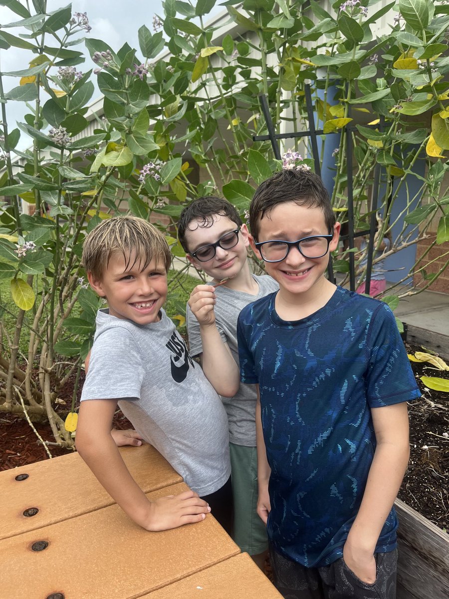 Janice Iacovino tweet media