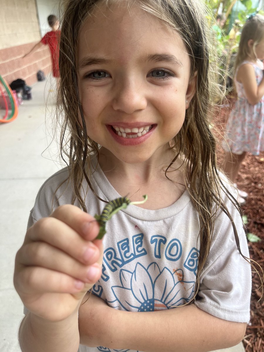 Janice Iacovino tweet media