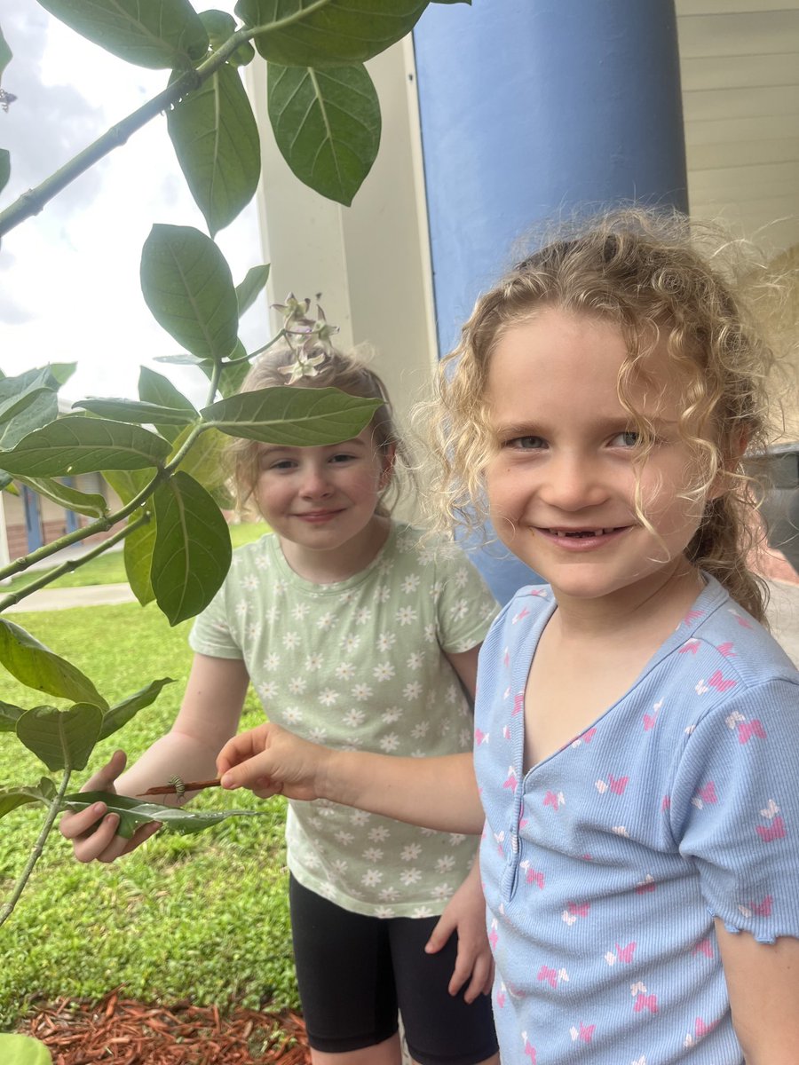 Janice Iacovino tweet media