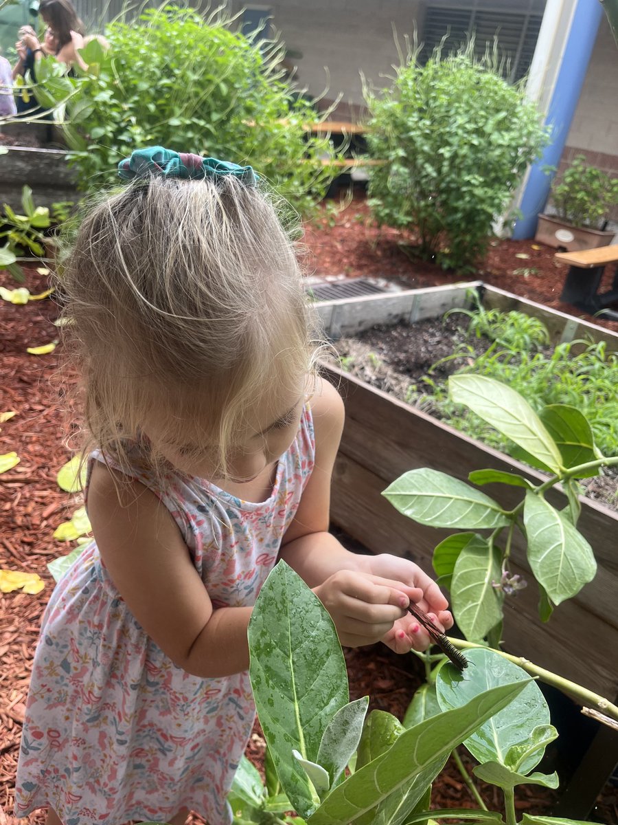 Janice Iacovino tweet media