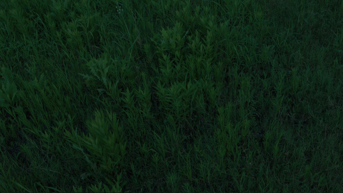 心灵荒漠何时能长满绿草