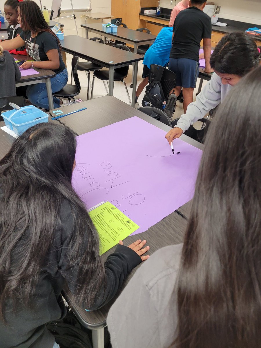 AMSkelkins's tweet photo. Another interesting day in Aggie Period with BEETLE RACES!!🪲 A little fun while getting some measurement and graphing practice!
@AMSAggies https://t.co/epniYcv2jN