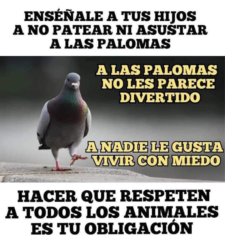 GRamirezF_D12's tweet photo. Merecen respeto, y el respeto comienza en casa. 🎗️🕊️💞 https://t.co/Dx6UiEwNsR
