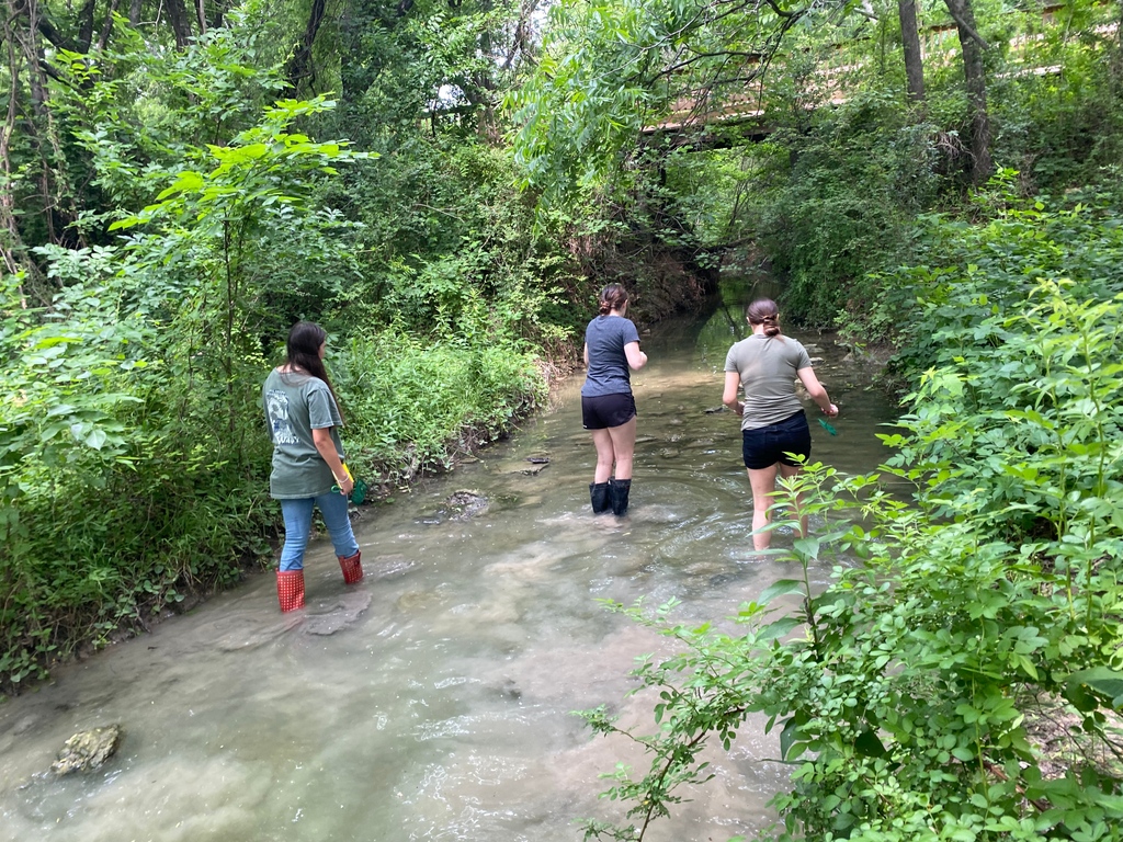 US Science Faculty members, Dr. Ferrara and Mr. Nowlin, spent the spring semester working with eight US students on a research project &amp; it was published by <a href="/GLOBEProgram/">The GLOBE Program</a>, a worldwide science &amp; education program. Congrats and great job!