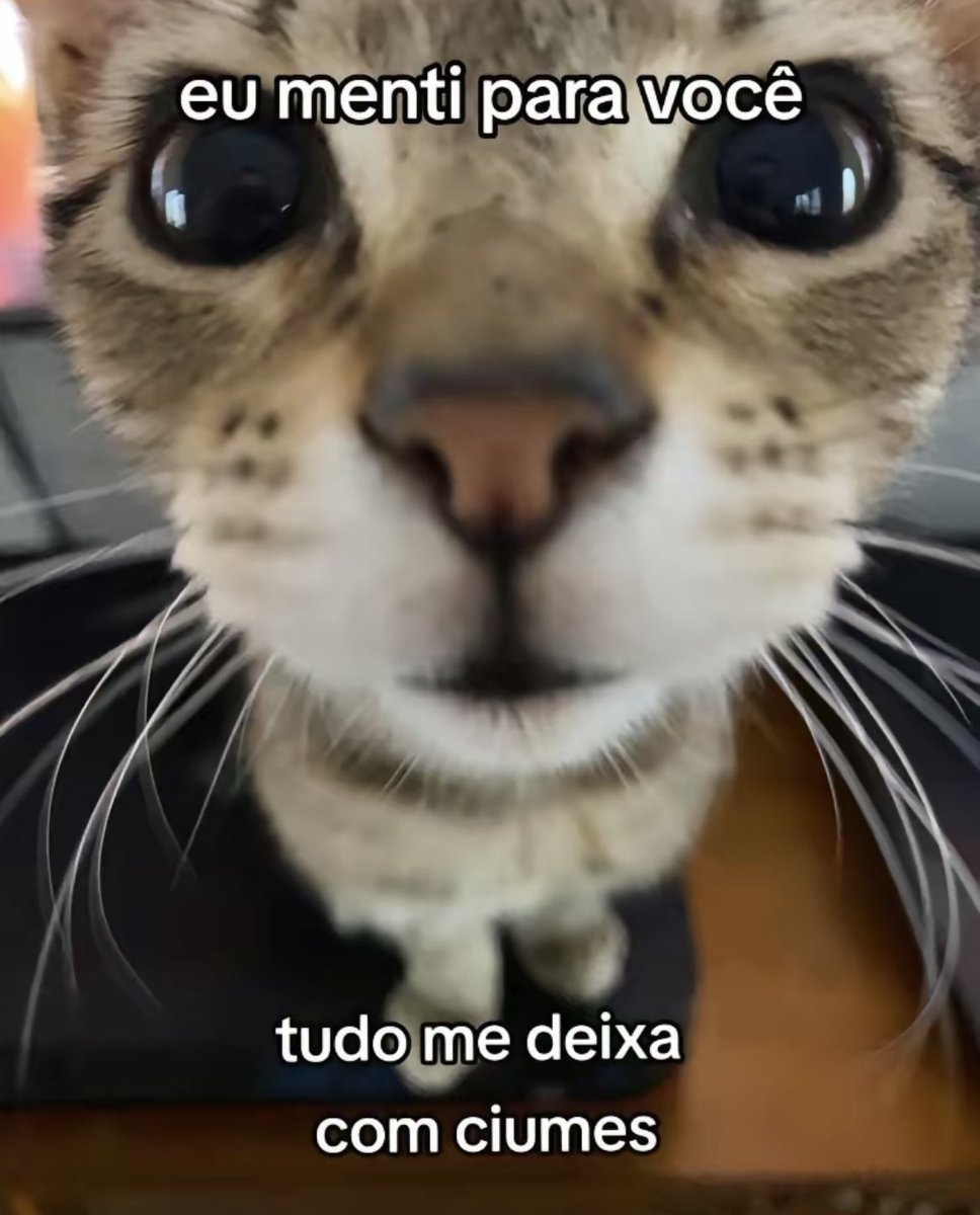 memes estranhos tweet media