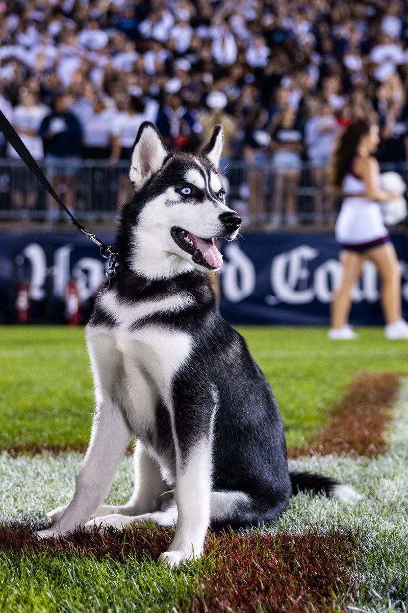UConn Huskies tweet media