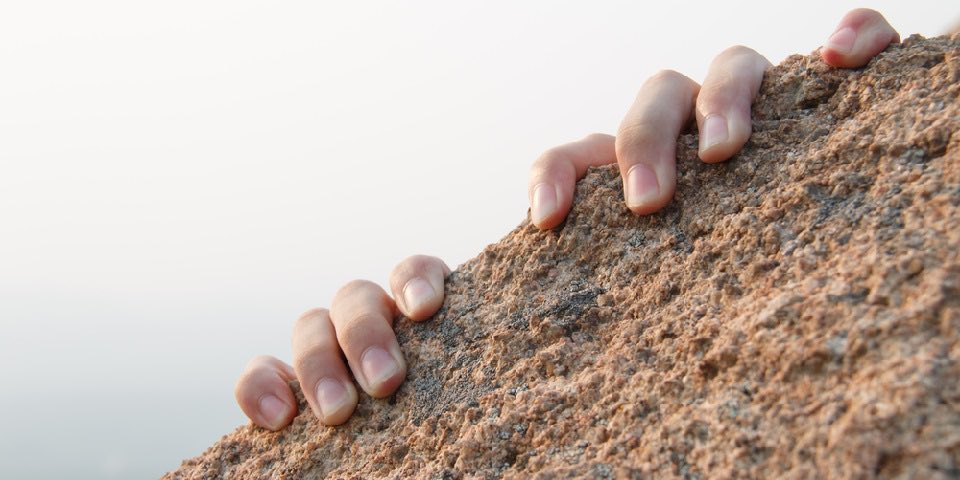 status annoyicus tweet media