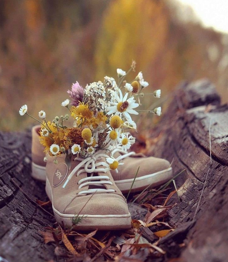 Twittblaster's tweet photo. ~ ๐ผ ~
Sometimes memories sneak out of my eyes and roll down my cheeks.
๐๏ธ~ Avena
#Twittblaster #TwittblasterFlowers #OneLinersTB #Memories #Emotions https://t.co/yiTFJdE4DX