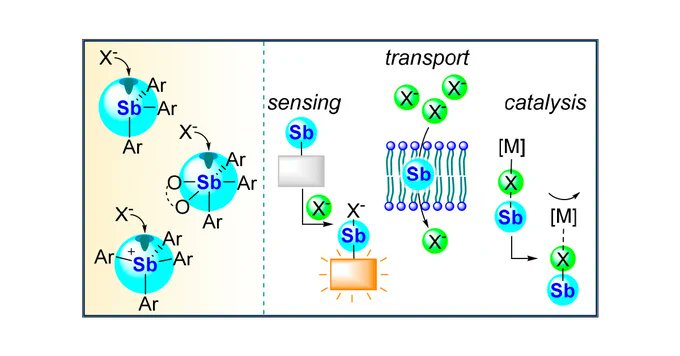Francois_Gabbai's tweet photo. Proud of this Perspective summarizing our work on antimony Lewis acids! Congrats to Brendan Murphy (@BLMurphyChem) for putting much of this together. Stay tuned for his future contributions to antimony chemistry and pnictogen bonding. https://t.co/t2zPY5QTt7