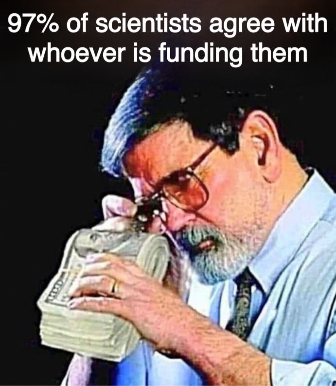 alifarhat79's tweet image. 