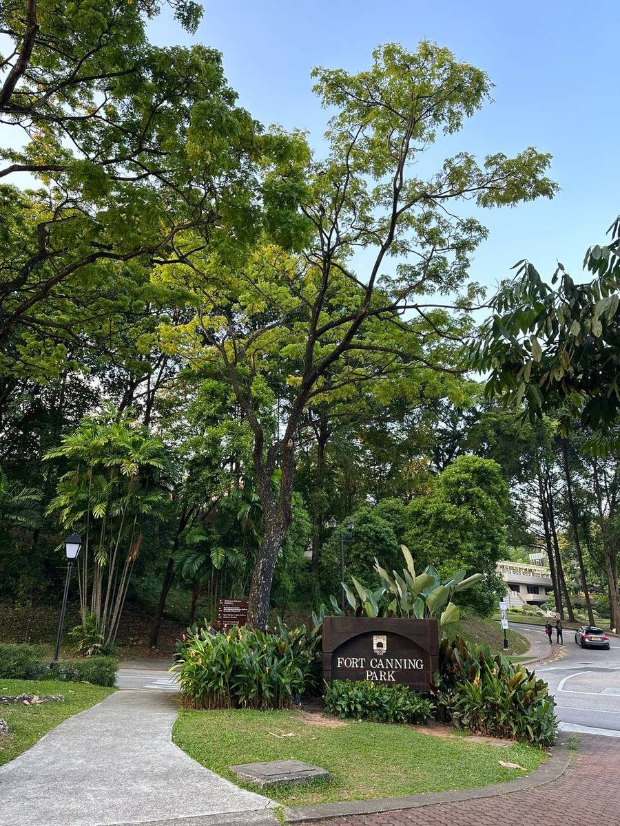 Lydiachenll's tweet photo. おはようございます、歩きながら見て、道中の風景、心が晴々としています。🤗🥰 https://t.co/iqoxNfU77j