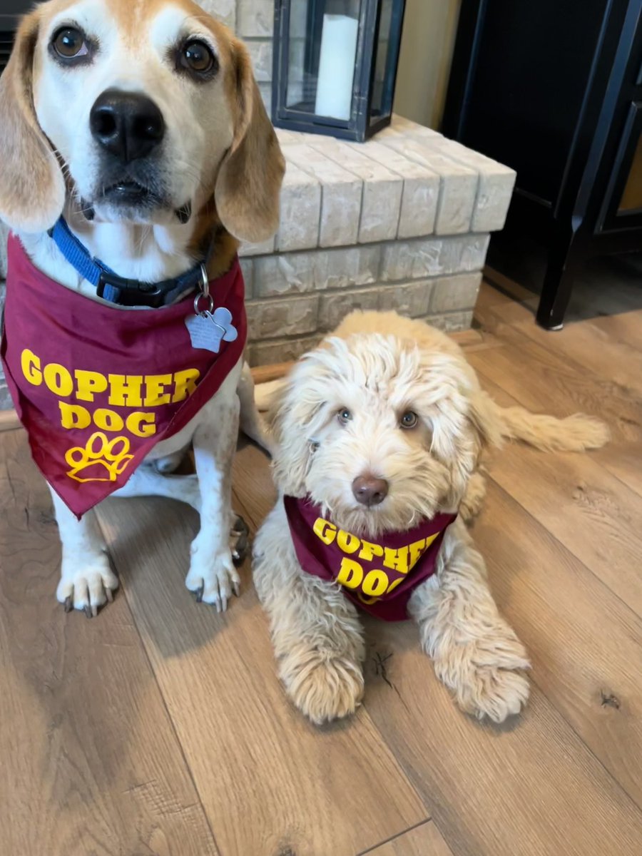 kkern68's tweet photo. @GopherGameDay https://t.co/6asQTwFrFv