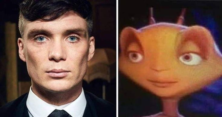 dnusunggyu's tweet photo. J.Lo dublou Formiguinhas

O Cillian é a Formiguinha. It's over. https://t.co/yzS8zv5AJW