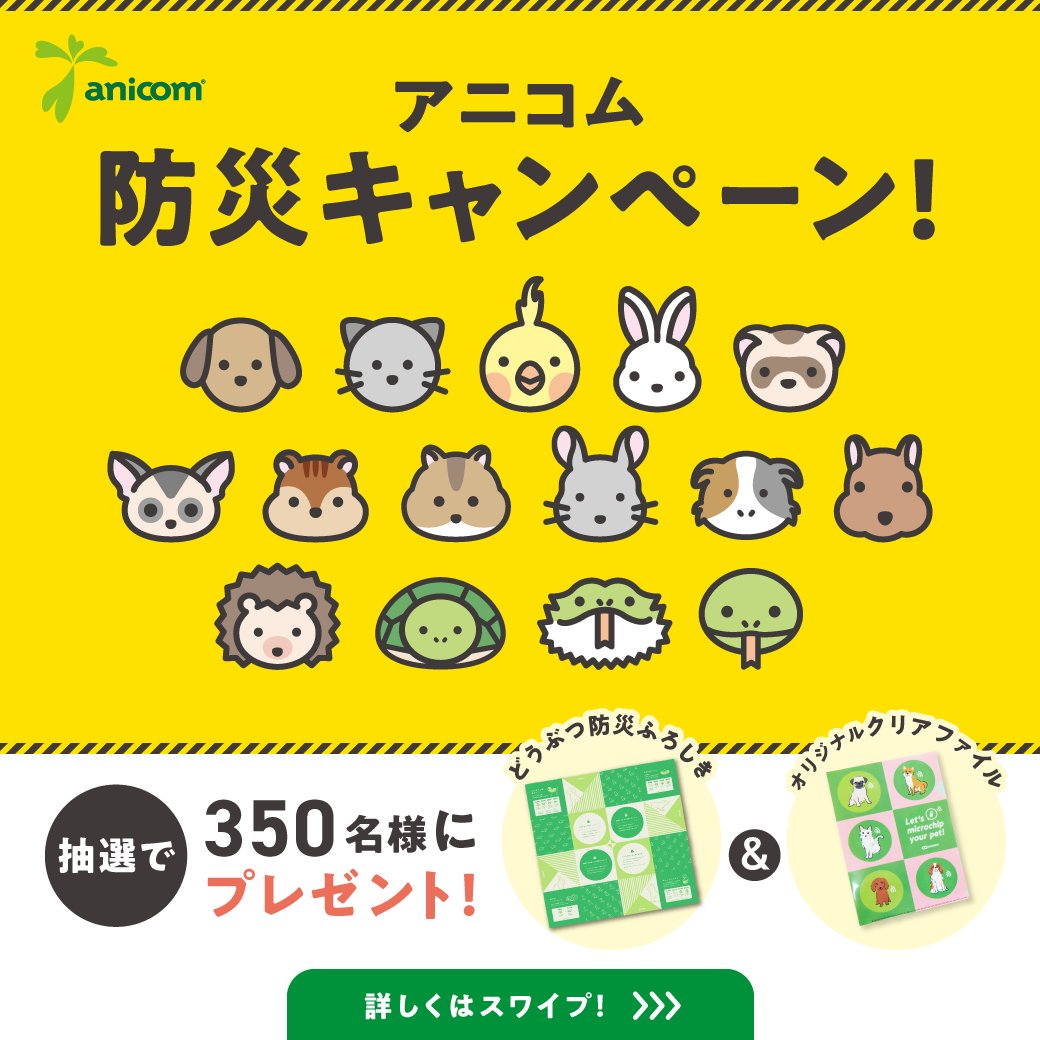 anicom_inc's tweet photo. ⚠アニコム防災キャンペーン⚠   

9/30(土)まで、防災グッズを プレゼントするキャンペーンを実施中🎁
この機会に、防災について見直して備えましょう☝

抽選で50名様に「どうぶつ防災ふろしき」、300名様に「オリジナルクリアファイル」をプレゼント！

詳しくはこちら
https://t.co/mhn93X5PBS https://t.co/yBLLwoUOJU