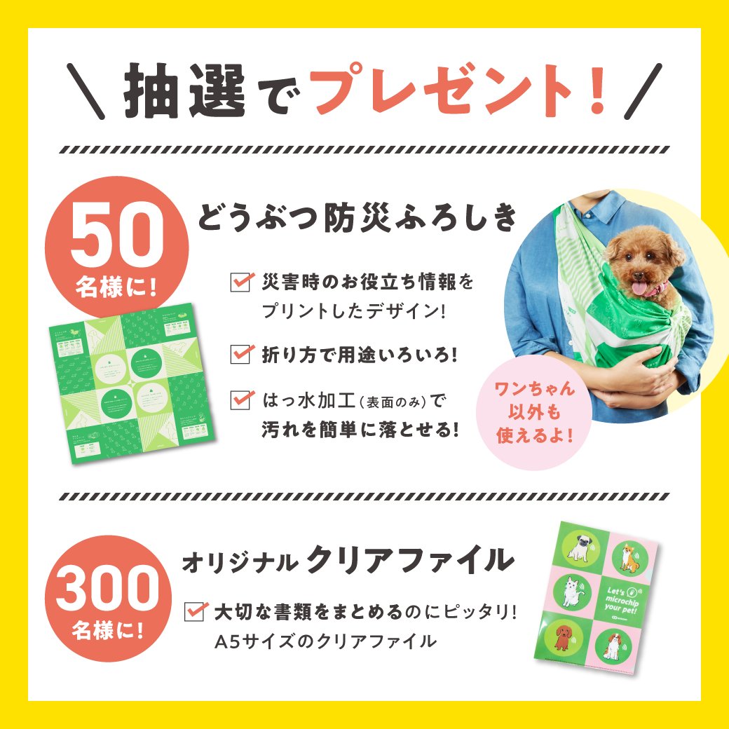 anicom_inc's tweet photo. ⚠アニコム防災キャンペーン⚠   

9/30(土)まで、防災グッズを プレゼントするキャンペーンを実施中🎁
この機会に、防災について見直して備えましょう☝

抽選で50名様に「どうぶつ防災ふろしき」、300名様に「オリジナルクリアファイル」をプレゼント！

詳しくはこちら
https://t.co/mhn93X5PBS https://t.co/yBLLwoUOJU