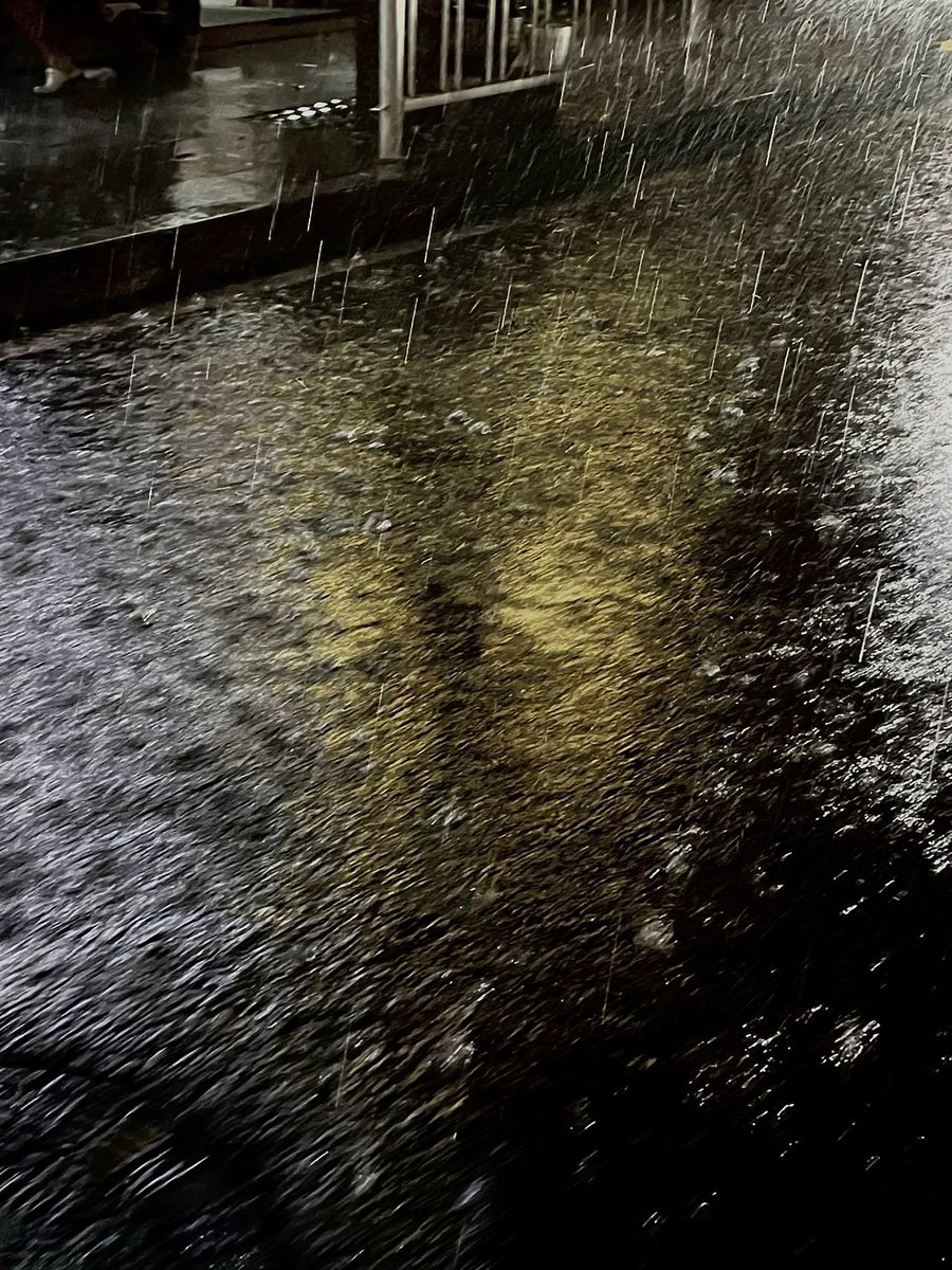 eightjeremiah's tweet photo. The wind comes to listen to the rain and the wind comes to listen to the rain 🌧️ https://t.co/tVEaNtQuv6