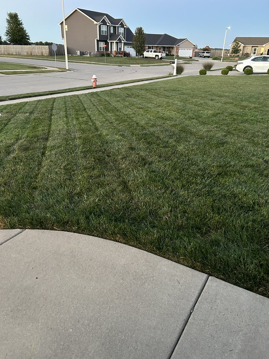 Another stripe show here in the 217…missed last week due to the heat and attending the Shootout in the Ozarks! Starting to really dry back out here too probably won’t need to mow for 10-14 days! League pride regardless <a href="/OutKickTNML/">ThursdayNightMowingLeague</a>