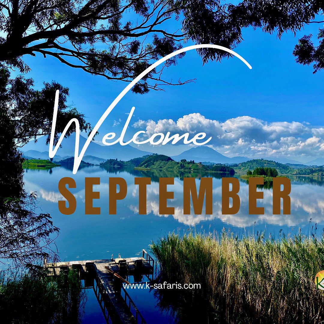 September we look forward to #traveling east #Africa together as we enjoy unforgettable #safari #experiences capturing #beautifuldestinations 
Inset the Lake Mutanda Resort  home to #mountaingorilla in #Uganda  
.
.
.
.
#Africasafari, #travel, #gorillatrekking, #naturephotography