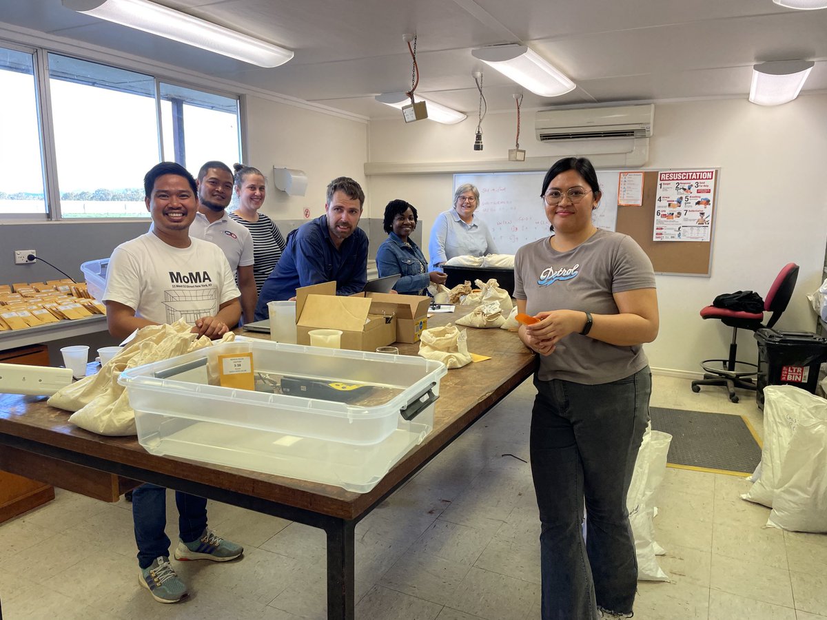 JaquieMitch_UQ's tweet photo. The UQRiceDen getting ready for the coming season @UQGattonUpdate @ShonaWood_UQ @thuthuong_nt @argiev @YowNino @AgriFuturesAU @RiceExtension @UQ_News ⁦@UQscience⁩ https://t.co/sUM9BiDPnr