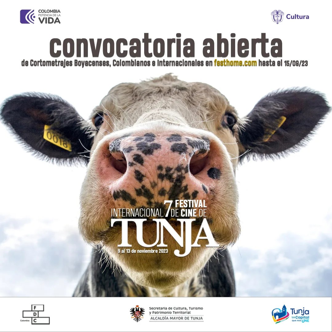 CinefilosColomb's tweet photo. El Festival Internacional De Cine De Tunja @FictuFestival abrio su convocatoria para la 7ma versión de #FICTU, tienes hasta el 15 de septiembre para incribir tun proyecto.
.
Conoce más https://t.co/b8ZgOIqqYn https://t.co/NYvjVu2ODw
