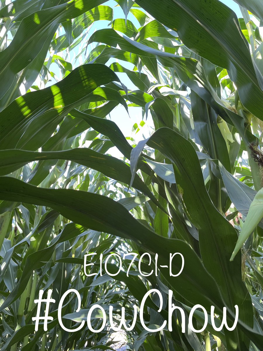 Charles Scovill tweet media