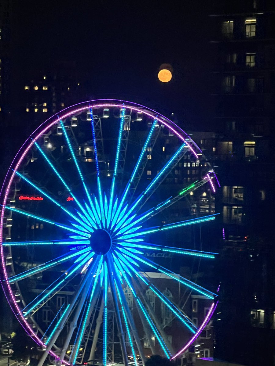 Everything Georgia tweet media