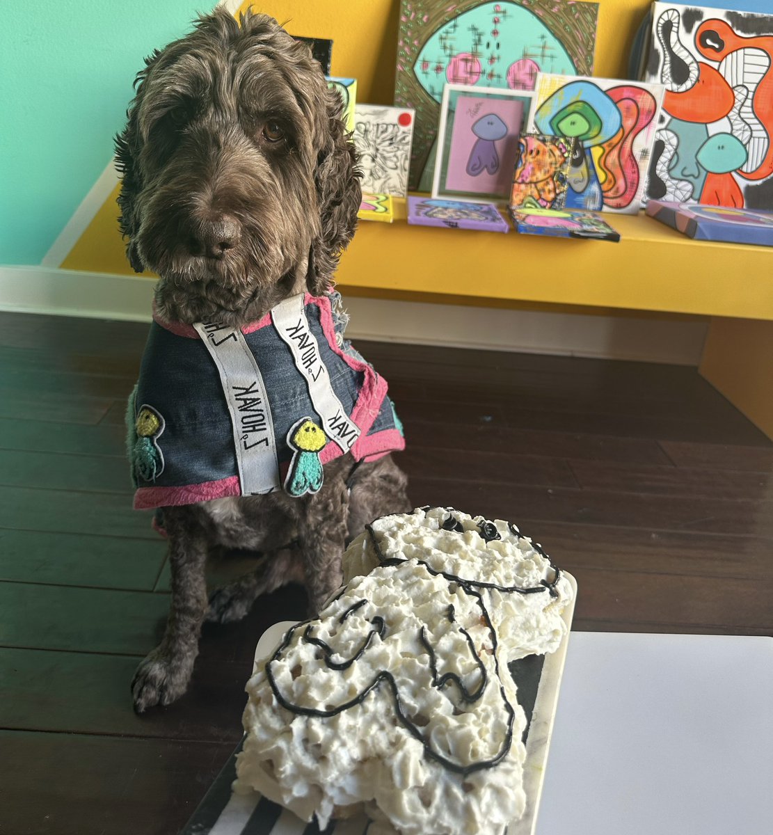 Happy 10th B-Day to Harley the CMO of Z Hovak studios and C1Ps younger  brother. Mama loves you so much. Who’s also shares a bday with <a href="/byKellyMax/">Kelly Max</a> and kiki any other Virgo’s on the 31st ?