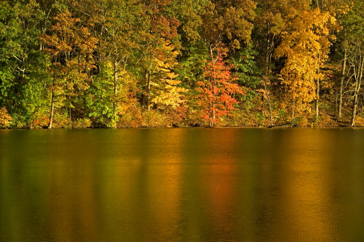 Housatonic Valley Association tweet media